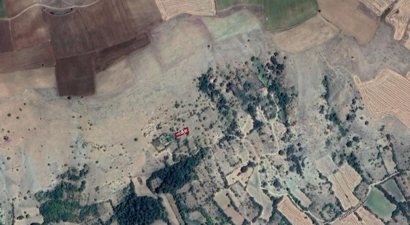 TOKAT ZİLE ALAYURT KÖYÜNDE 600 M² BAĞ SATILIKTIR. - TOKAT ZİLE fotoğraf 3